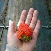 ヒメ日記 2026/02/17 12:15 投稿 さつき 松本人妻隊