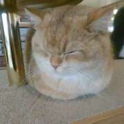 ヒメ日記 2026/03/30 14:40 投稿 さつき 松本人妻隊