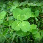 ヒメ日記 2026/04/03 07:39 投稿 さつき 松本人妻隊