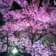 ヒメ日記 2026/04/07 22:52 投稿 さつき 松本人妻隊