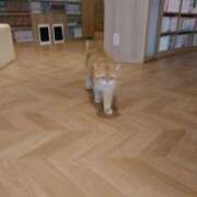 ヒメ日記 2026/06/11 09:01 投稿 さつき 松本人妻隊