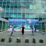 ヒメ日記 2025/01/15 10:47 投稿 久世 鶯谷人妻城