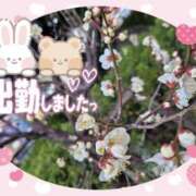 ヒメ日記 2025/02/14 17:16 投稿 みゆ 熟女の風俗最終章 蒲田店