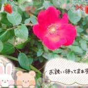 ヒメ日記 2025/02/26 16:32 投稿 みゆ 熟女の風俗最終章 蒲田店