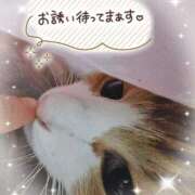 ヒメ日記 2025/02/28 17:56 投稿 みゆ 熟女の風俗最終章 蒲田店