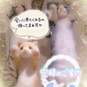 ヒメ日記 2025/03/12 16:46 投稿 みゆ 熟女の風俗最終章 蒲田店