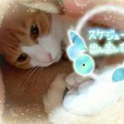 ヒメ日記 2025/03/17 01:46 投稿 みゆ 熟女の風俗最終章 蒲田店