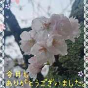 ヒメ日記 2025/03/31 22:50 投稿 みゆ 熟女の風俗最終章 蒲田店