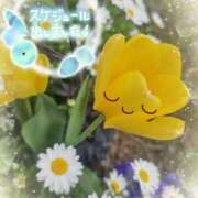 ヒメ日記 2025/04/07 00:50 投稿 みゆ 熟女の風俗最終章 蒲田店