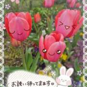 ヒメ日記 2025/04/07 14:39 投稿 みゆ 熟女の風俗最終章 蒲田店