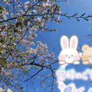 ヒメ日記 2025/04/10 14:45 投稿 みゆ 熟女の風俗最終章 蒲田店