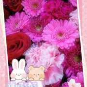 ヒメ日記 2025/04/11 16:48 投稿 みゆ 熟女の風俗最終章 蒲田店