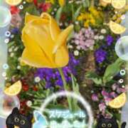 ヒメ日記 2025/04/16 03:20 投稿 みゆ 熟女の風俗最終章 蒲田店