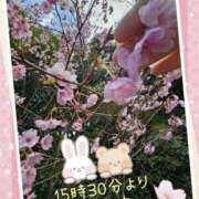 ヒメ日記 2025/04/18 12:20 投稿 みゆ 熟女の風俗最終章 蒲田店