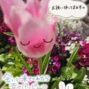 ヒメ日記 2025/04/20 15:40 投稿 みゆ 熟女の風俗最終章 蒲田店