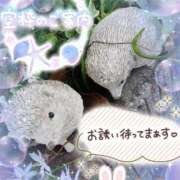 ヒメ日記 2025/04/21 16:31 投稿 みゆ 熟女の風俗最終章 蒲田店