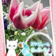 ヒメ日記 2025/04/22 03:40 投稿 みゆ 熟女の風俗最終章 蒲田店