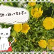 ヒメ日記 2025/04/24 15:41 投稿 みゆ 熟女の風俗最終章 蒲田店