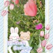 ヒメ日記 2025/04/25 16:20 投稿 みゆ 熟女の風俗最終章 蒲田店