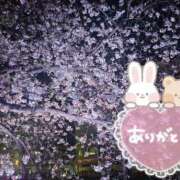 ヒメ日記 2025/04/30 15:50 投稿 みゆ 熟女の風俗最終章 蒲田店