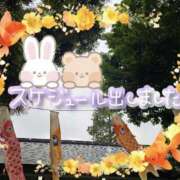 ヒメ日記 2025/05/12 21:20 投稿 みゆ 熟女の風俗最終章 蒲田店