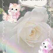 ヒメ日記 2025/05/14 13:04 投稿 みゆ 熟女の風俗最終章 蒲田店