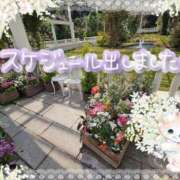 ヒメ日記 2025/05/17 20:35 投稿 みゆ 熟女の風俗最終章 蒲田店