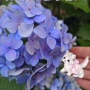 ヒメ日記 2025/06/01 15:50 投稿 みゆ 熟女の風俗最終章 蒲田店