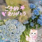 ヒメ日記 2025/06/03 13:30 投稿 みゆ 熟女の風俗最終章 蒲田店