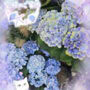 ヒメ日記 2025/06/03 13:50 投稿 みゆ 熟女の風俗最終章 蒲田店