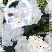 ヒメ日記 2025/06/05 13:58 投稿 みゆ 熟女の風俗最終章 蒲田店