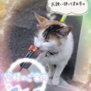 ヒメ日記 2025/06/06 15:30 投稿 みゆ 熟女の風俗最終章 蒲田店