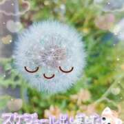 ヒメ日記 2025/06/06 17:24 投稿 みゆ 熟女の風俗最終章 蒲田店