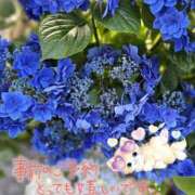 ヒメ日記 2025/06/10 13:30 投稿 みゆ 熟女の風俗最終章 蒲田店