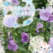 ヒメ日記 2025/06/11 14:20 投稿 みゆ 熟女の風俗最終章 蒲田店