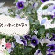 ヒメ日記 2025/06/11 17:29 投稿 みゆ 熟女の風俗最終章 蒲田店