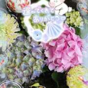 ヒメ日記 2025/06/12 16:10 投稿 みゆ 熟女の風俗最終章 蒲田店