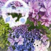 ヒメ日記 2025/06/14 15:45 投稿 みゆ 熟女の風俗最終章 蒲田店