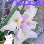 ヒメ日記 2025/06/17 13:30 投稿 みゆ 熟女の風俗最終章 蒲田店