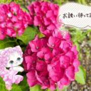 ヒメ日記 2025/06/17 13:50 投稿 みゆ 熟女の風俗最終章 蒲田店