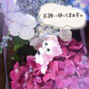 ヒメ日記 2025/06/17 17:51 投稿 みゆ 熟女の風俗最終章 蒲田店