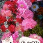 ヒメ日記 2025/06/18 17:40 投稿 みゆ 熟女の風俗最終章 蒲田店