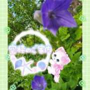 ヒメ日記 2025/06/20 13:57 投稿 みゆ 熟女の風俗最終章 蒲田店