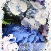 ヒメ日記 2025/06/30 17:01 投稿 みゆ 熟女の風俗最終章 蒲田店