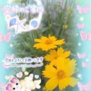 ヒメ日記 2025/07/01 13:50 投稿 みゆ 熟女の風俗最終章 蒲田店