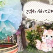 ヒメ日記 2025/07/02 16:06 投稿 みゆ 熟女の風俗最終章 蒲田店