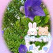 ヒメ日記 2025/07/04 15:57 投稿 みゆ 熟女の風俗最終章 蒲田店