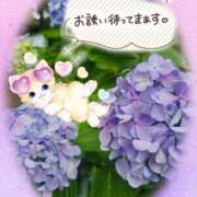 ヒメ日記 2025/07/04 16:30 投稿 みゆ 熟女の風俗最終章 蒲田店