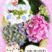 ヒメ日記 2025/07/07 17:28 投稿 みゆ 熟女の風俗最終章 蒲田店