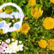 ヒメ日記 2025/07/08 14:40 投稿 みゆ 熟女の風俗最終章 蒲田店